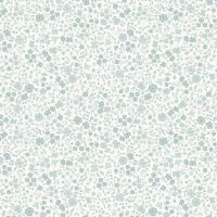 dsStella-D3619 Whisper